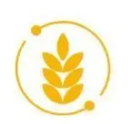 Logo Del Grano a la Copa